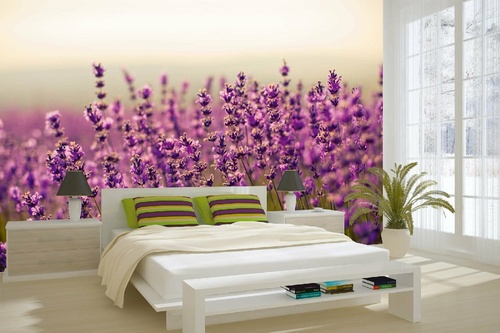 Vlies Fototapete - Fabelhafter Lavendel 375 x 250 cm